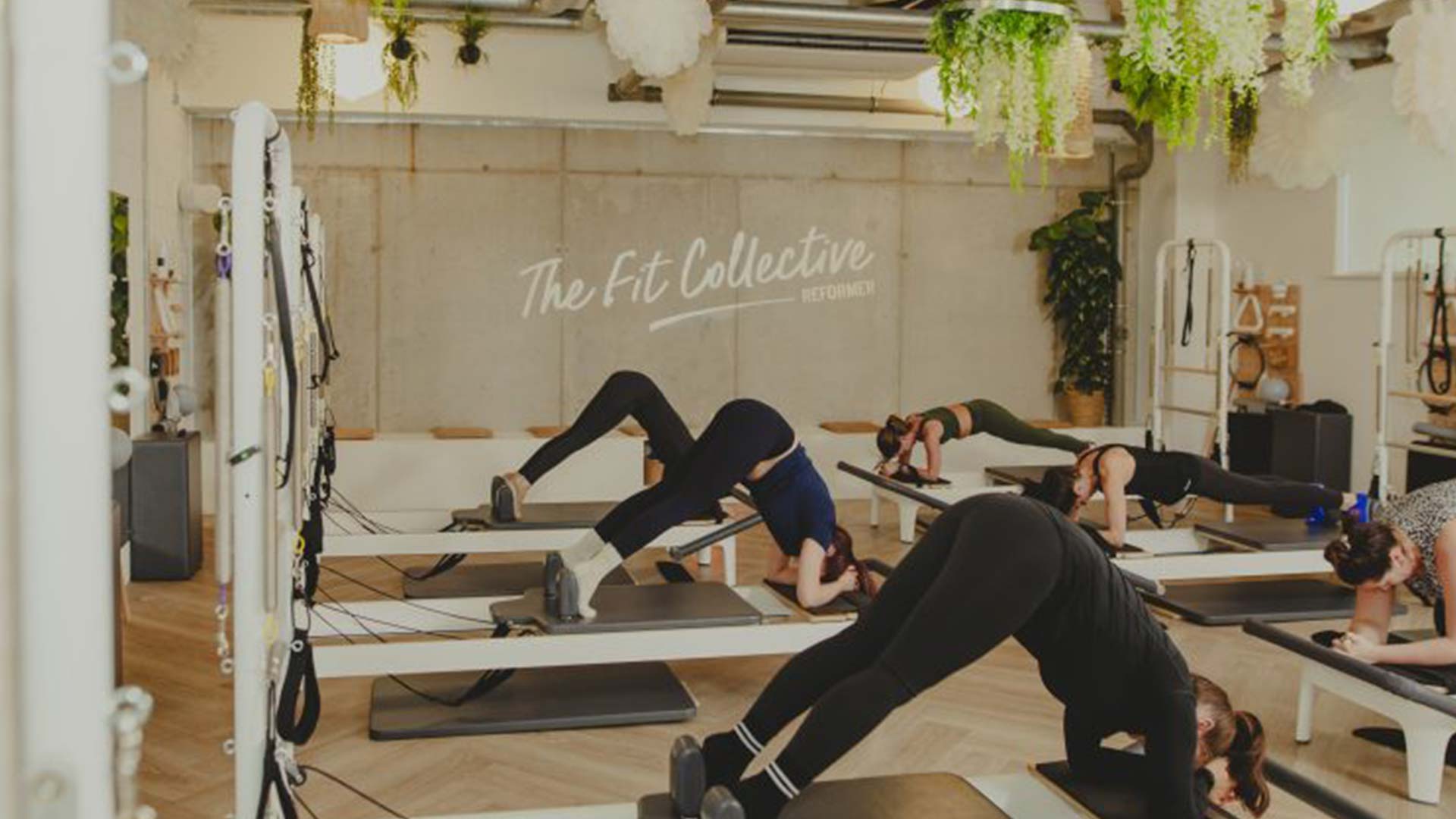 Pupdates x Reformer at The Fit Collective